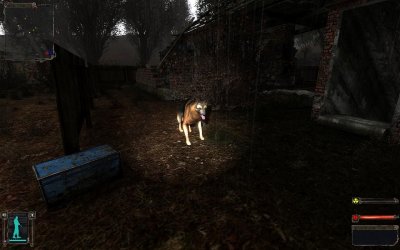 ������� ������� ���