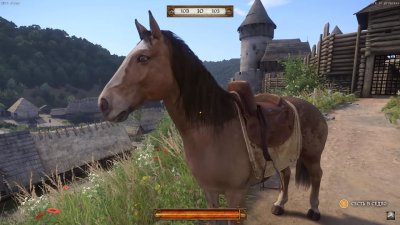 Kingdom Come Deliverance ��������