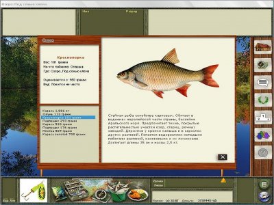 ������� ������� 2